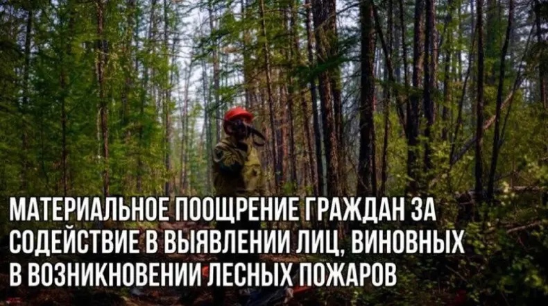Порядок выплаты денежного вознаграждения за сообщение достоверной информации о лицах, виновных в возникновении лесных и других ландшафтных (природных) пожаров на территории Омской области..